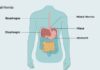 Hiatal Hernia Treatment